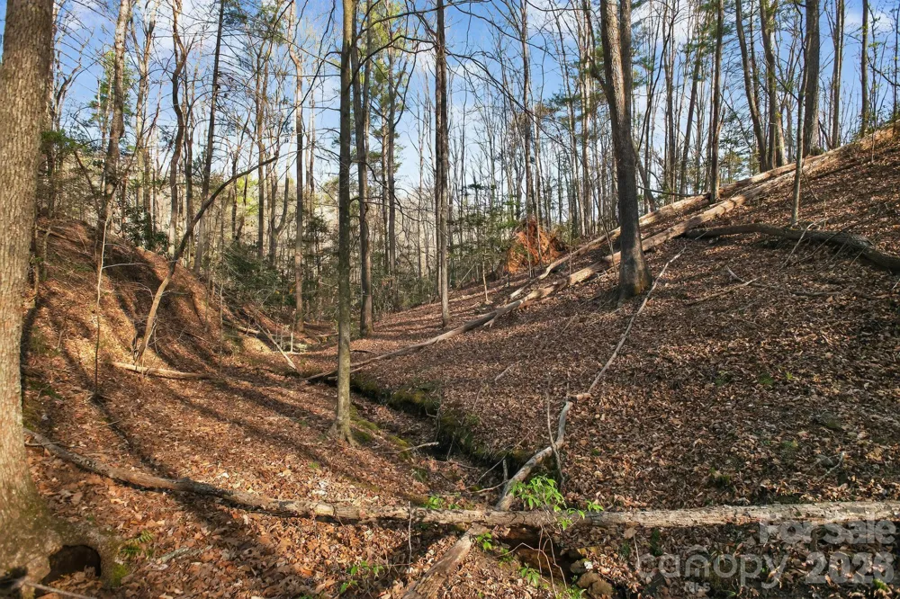 Lot 62 Dirksen Avenue Nebo, NC 28655