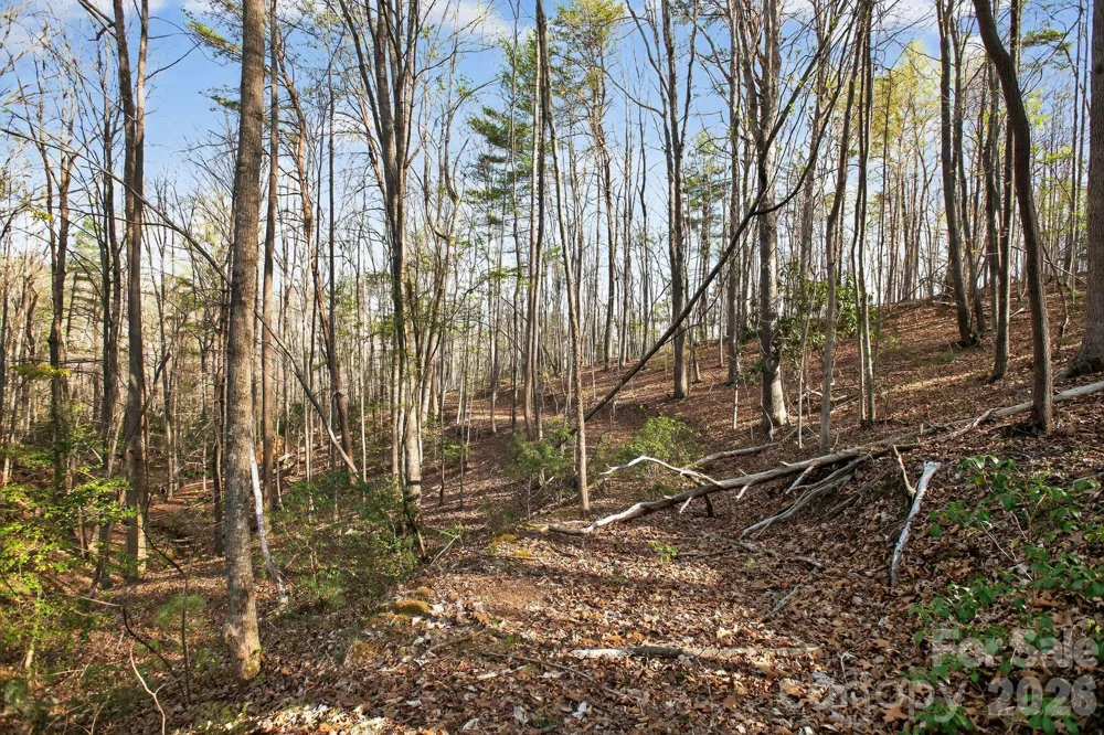 Lot 62 Dirksen Avenue Nebo, NC 28655