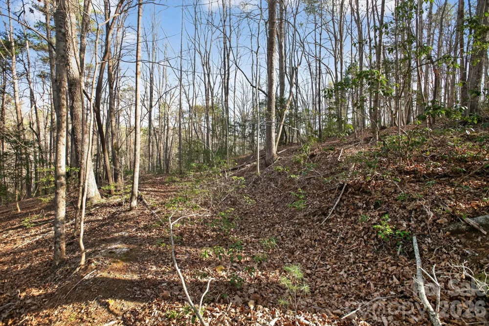 Lot 62 Dirksen Avenue Nebo, NC 28655
