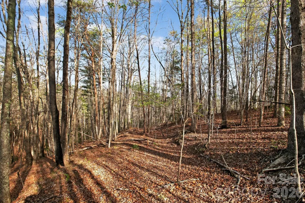 Lot 62 Dirksen Avenue Nebo, NC 28655