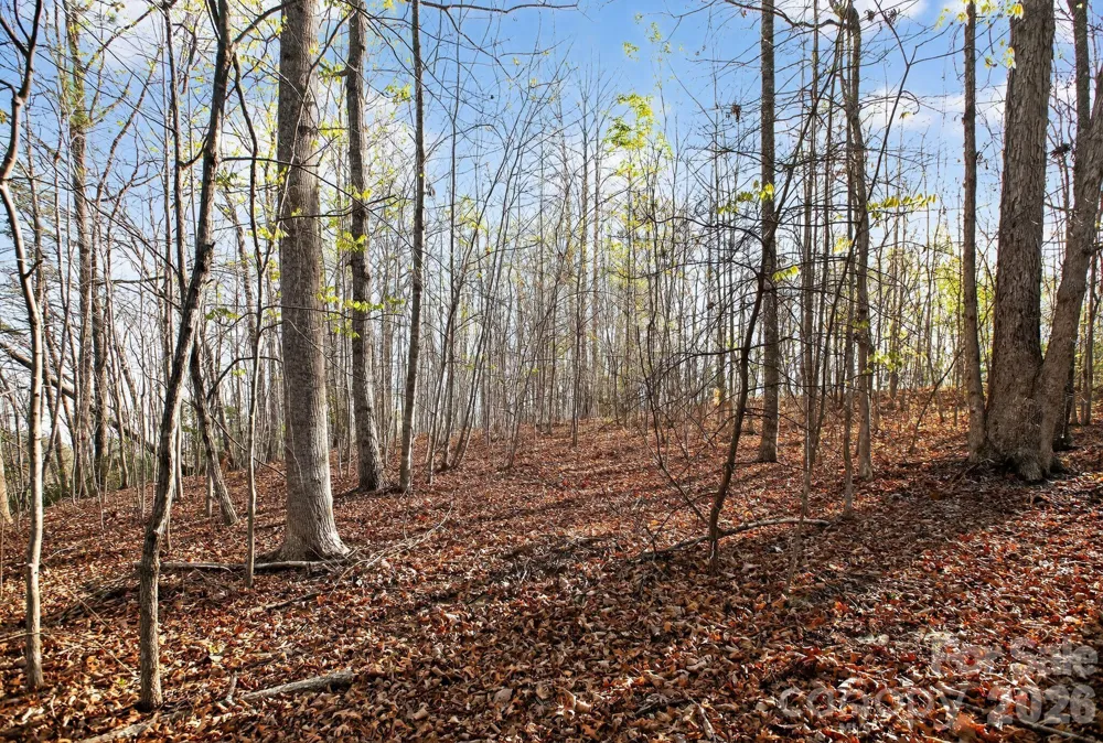 Lot 62 Dirksen Avenue Nebo, NC 28655