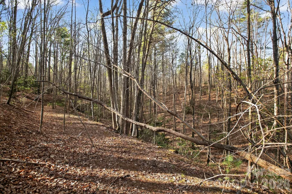 Lot 62 Dirksen Avenue Nebo, NC 28655