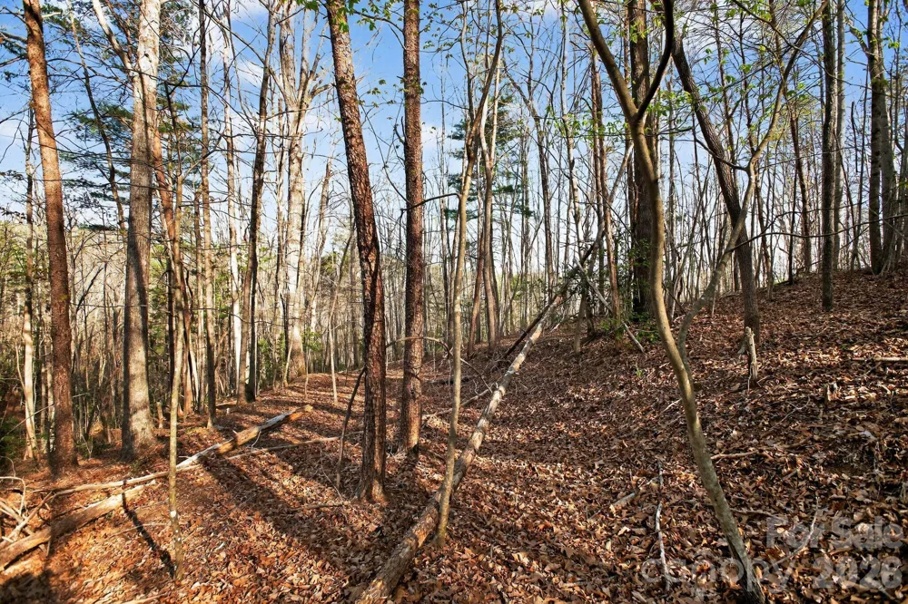 Lot 62 Dirksen Avenue Nebo, NC 28655