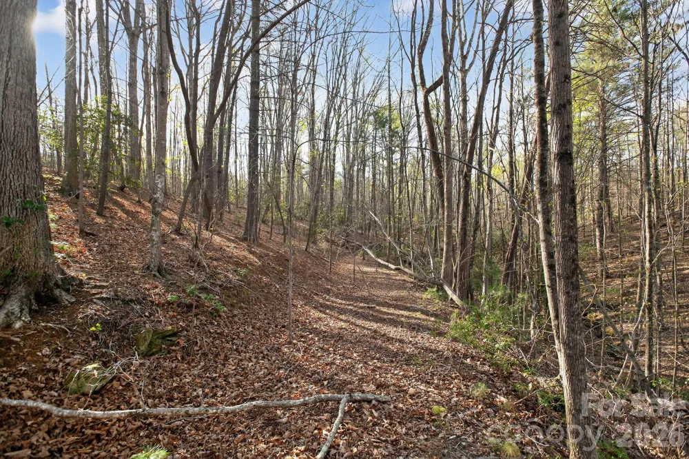 Lot 62 Dirksen Avenue Nebo, NC 28655