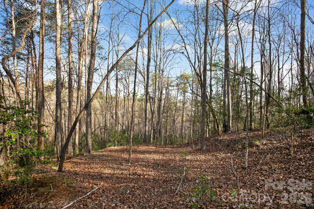 Lot 62 Dirksen Avenue Nebo, NC 28655
