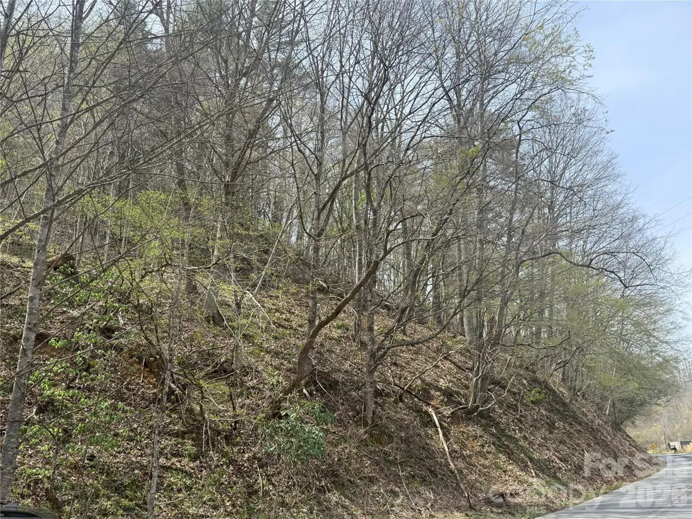 0 HORTONS CREEK ROAD Burnsville, NC 28714