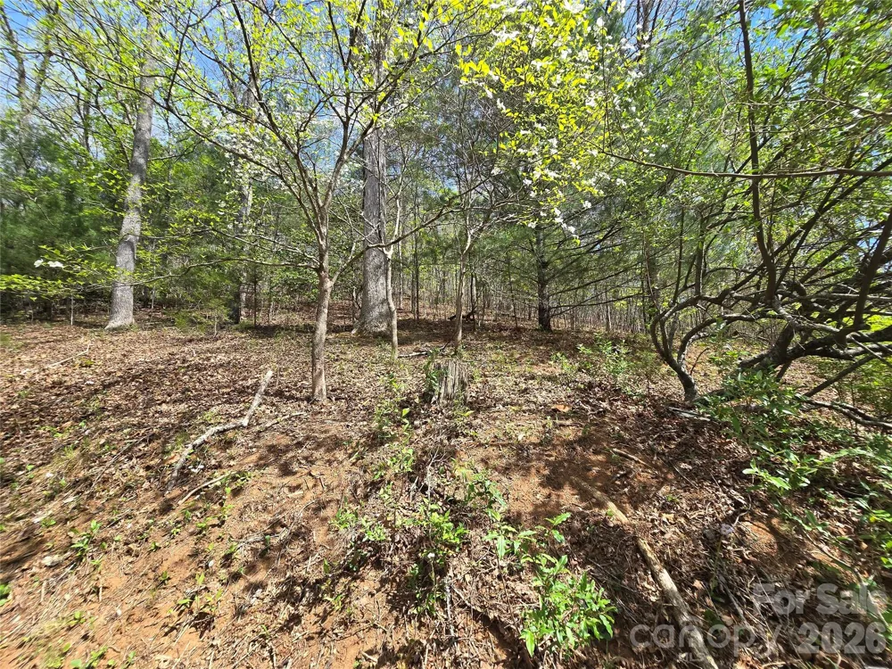 0 WINDING WAY DRIVE #32/33 Franklin, NC 28734