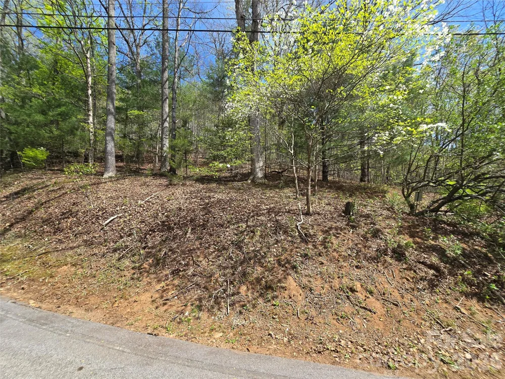 0 WINDING WAY DRIVE #32/33 Franklin, NC 28734