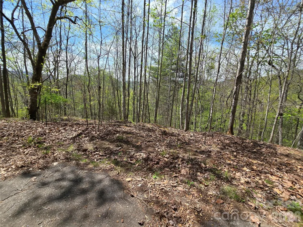 0 WINDING WAY DRIVE #32/33 Franklin, NC 28734