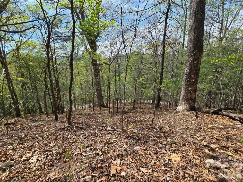 0 WINDING WAY DRIVE #32/33 Franklin, NC 28734