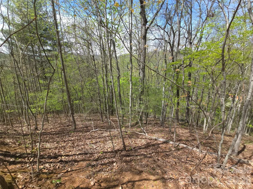 0 WINDING WAY DRIVE #32/33 Franklin, NC 28734