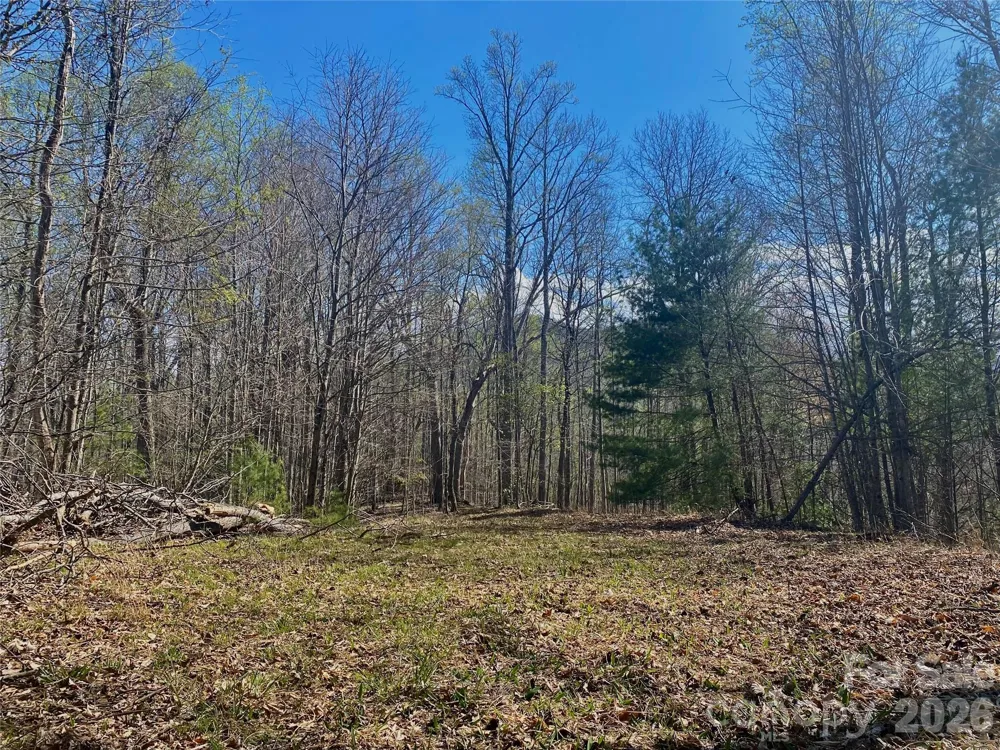 00 Scenic View Drive #1 & 2 Green Mountain, NC 28740