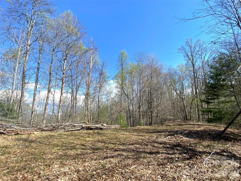 00 Scenic View Drive #1 & 2 Green Mountain, NC 28740