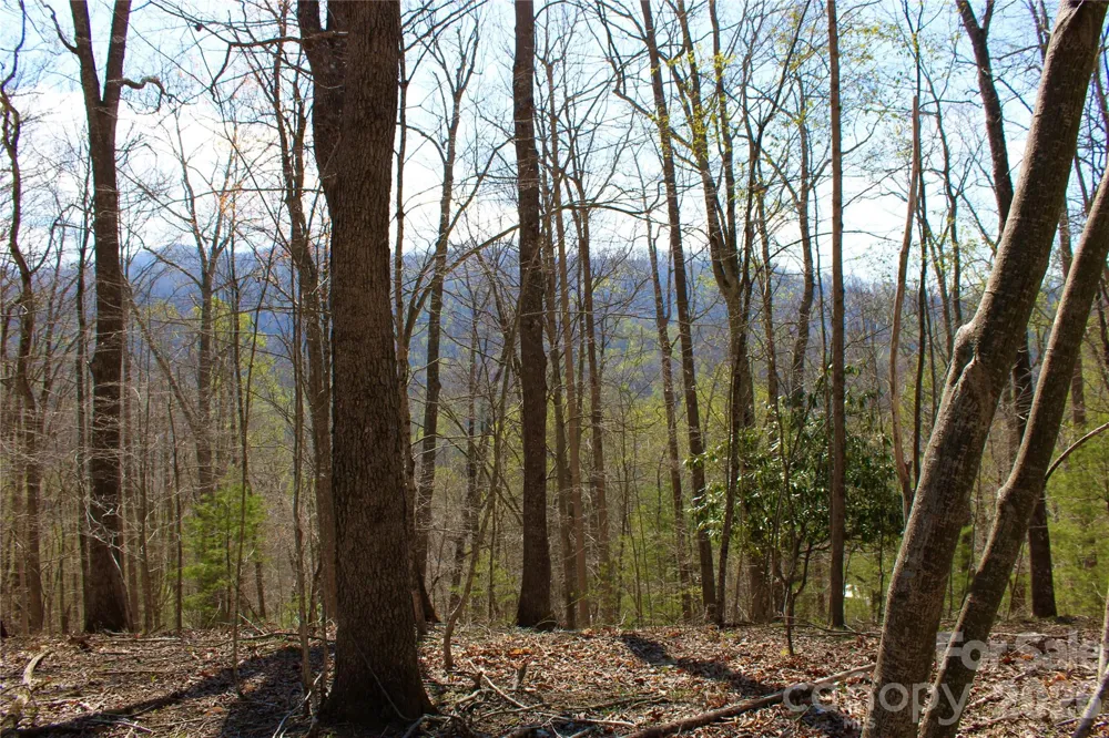 00 Scenic View Drive #1 & 2 Green Mountain, NC 28740