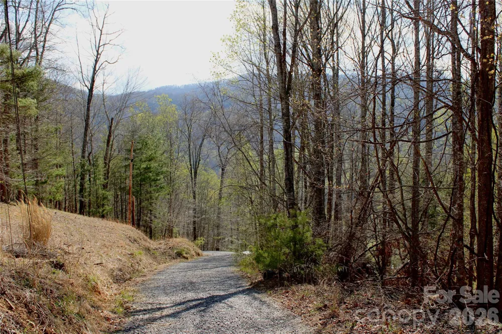 00 Scenic View Drive #1 & 2 Green Mountain, NC 28740
