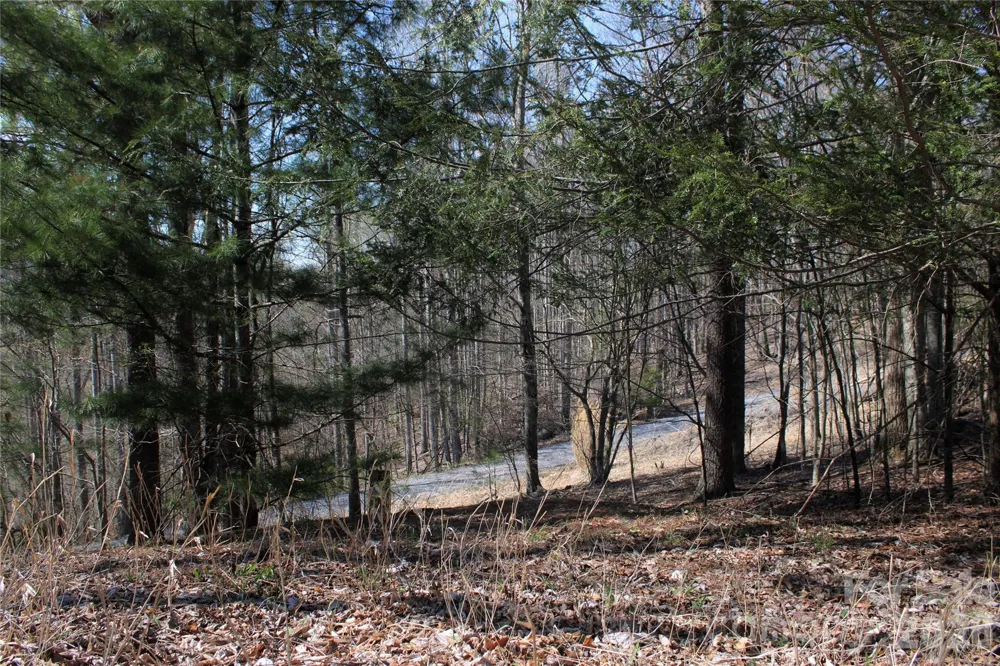 00 Scenic View Drive #1 & 2 Green Mountain, NC 28740