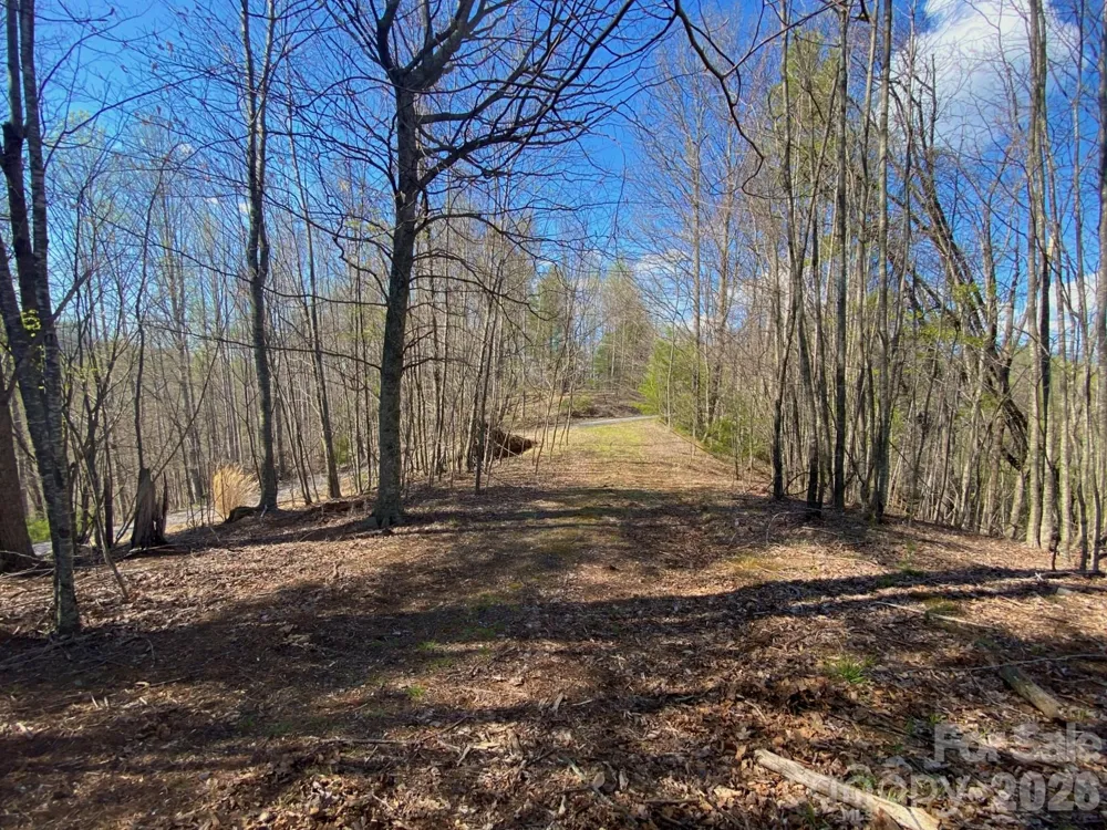 00 Scenic View Drive #1 & 2 Green Mountain, NC 28740
