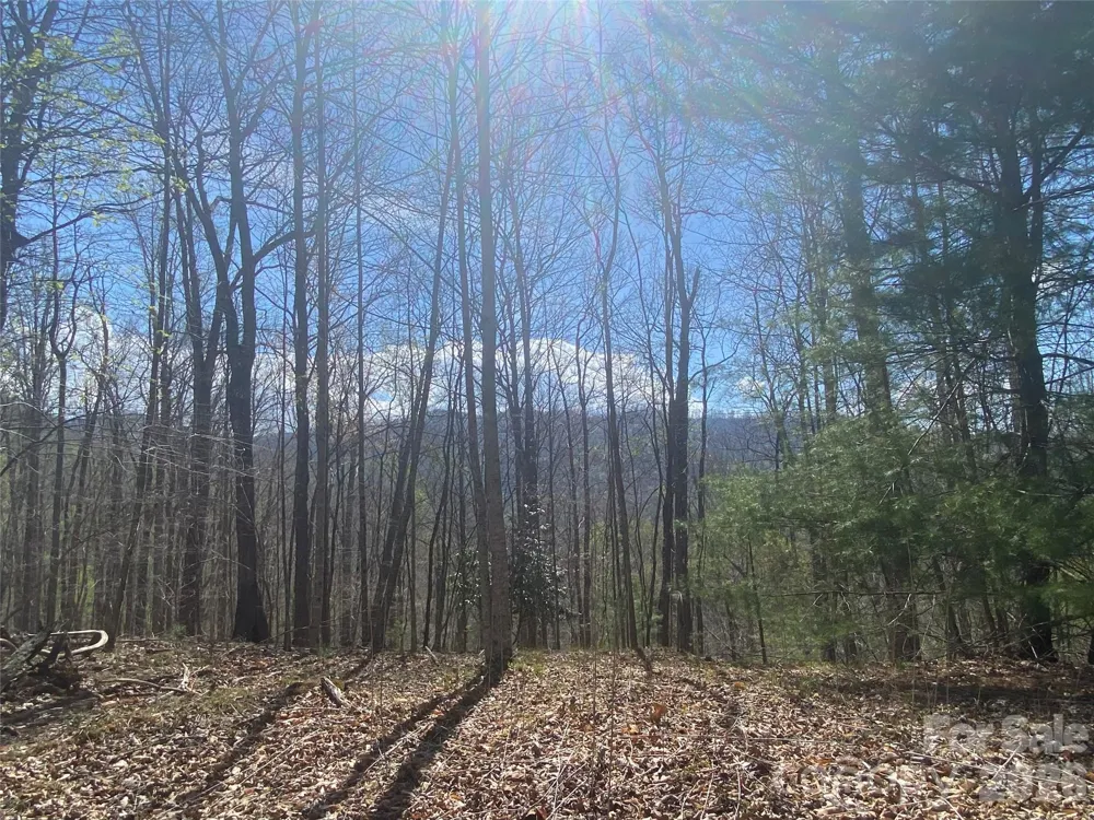 00 Scenic View Drive #1 & 2 Green Mountain, NC 28740