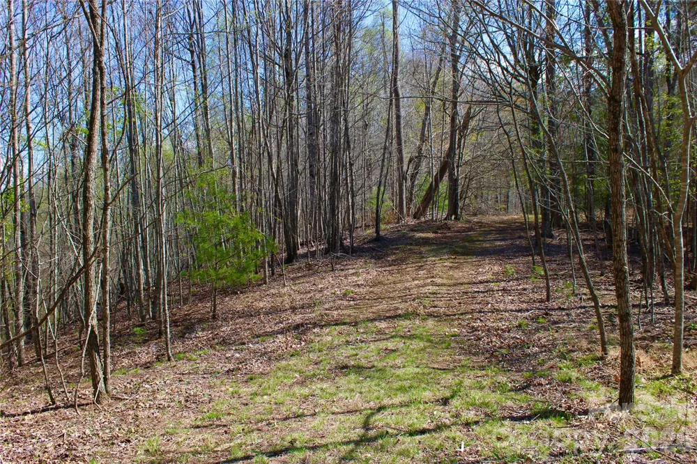 00 Scenic View Drive #1 & 2 Green Mountain, NC 28740