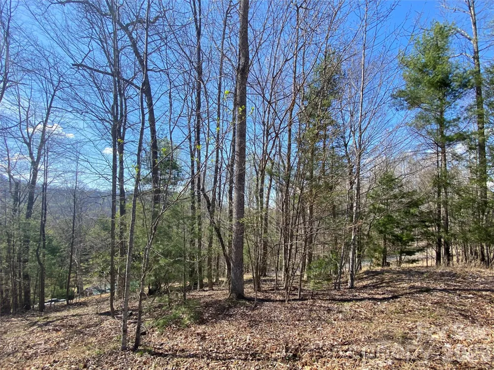 00 Scenic View Drive #1 & 2 Green Mountain, NC 28740
