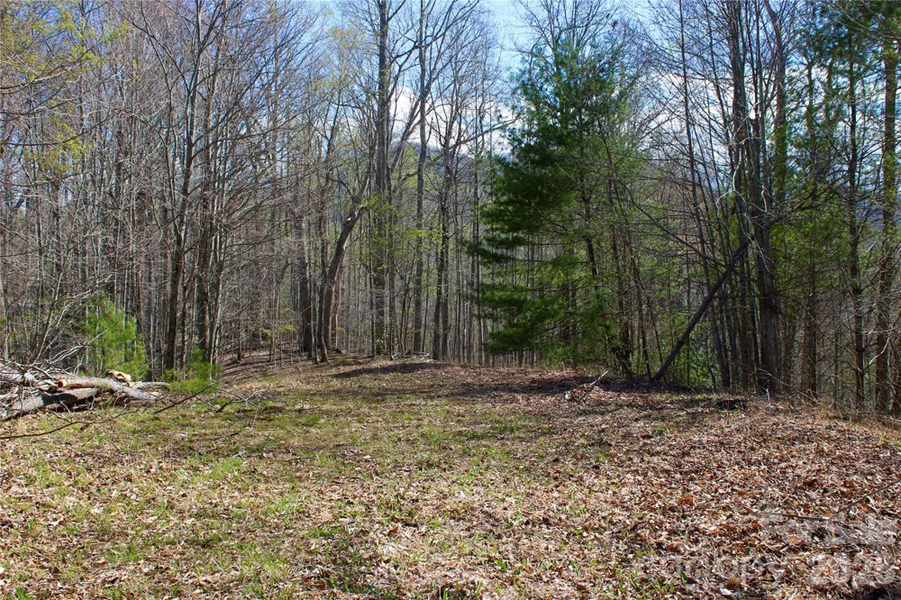 00 Scenic View Drive #1 & 2 Green Mountain, NC 28740