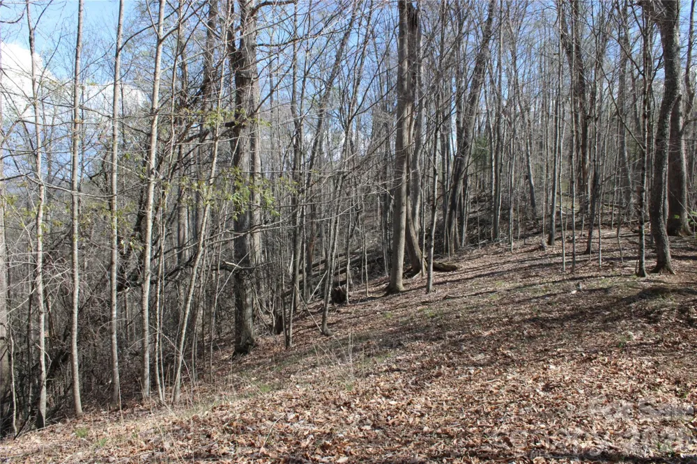 00 Scenic View Drive #1 & 2 Green Mountain, NC 28740