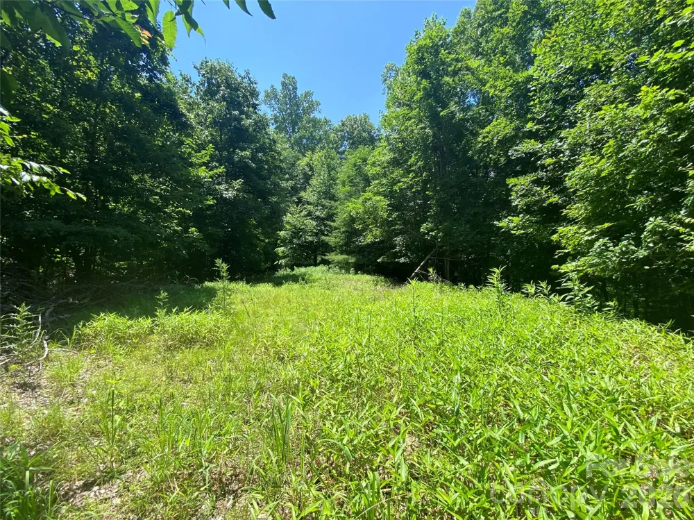 00 Scenic View Drive #1 & 2 Green Mountain, NC 28740