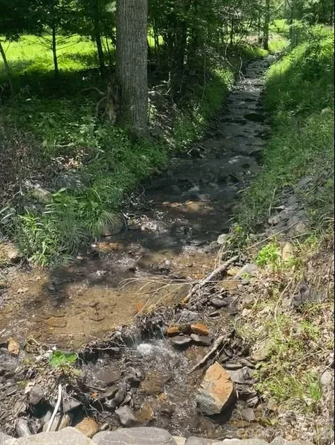 00 Scenic View Drive #1 & 2 Green Mountain, NC 28740