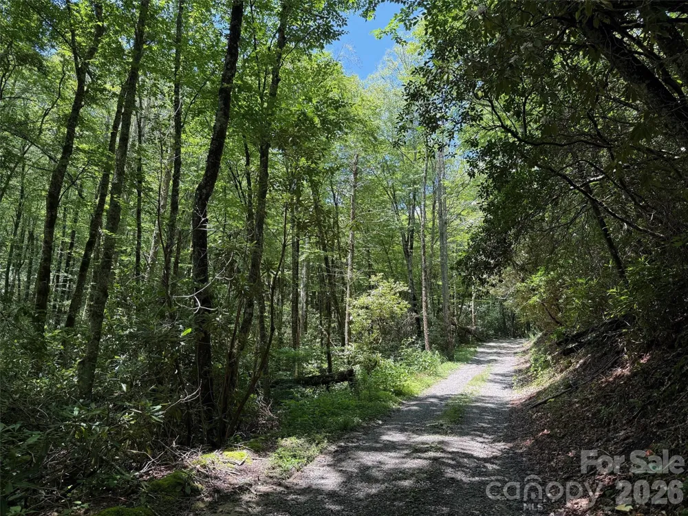 Lot #67 Spring Drive Maggie Valley, NC 28751