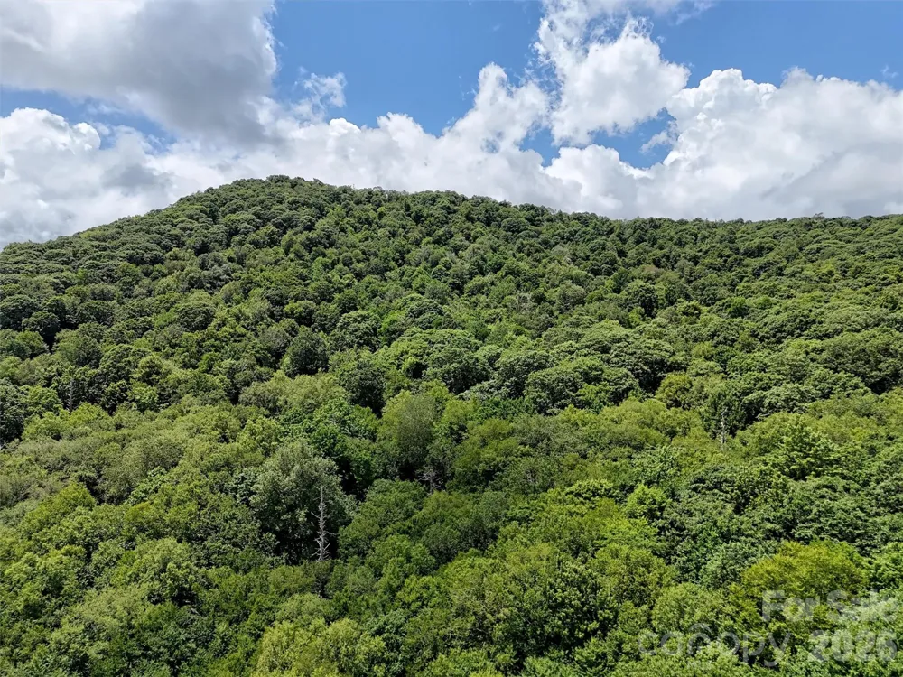 Lot #67 Spring Drive Maggie Valley, NC 28751