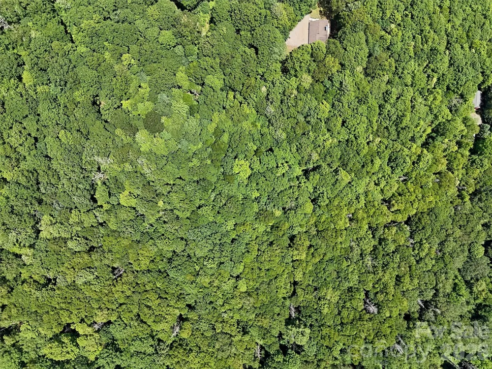Lot #67 Spring Drive Maggie Valley, NC 28751