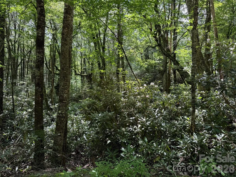 Lot #67 Spring Drive Maggie Valley, NC 28751