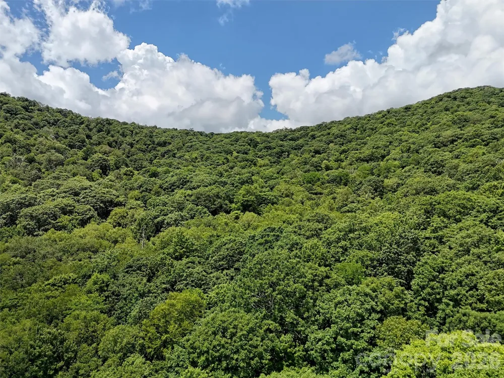 Lot #67 Spring Drive Maggie Valley, NC 28751