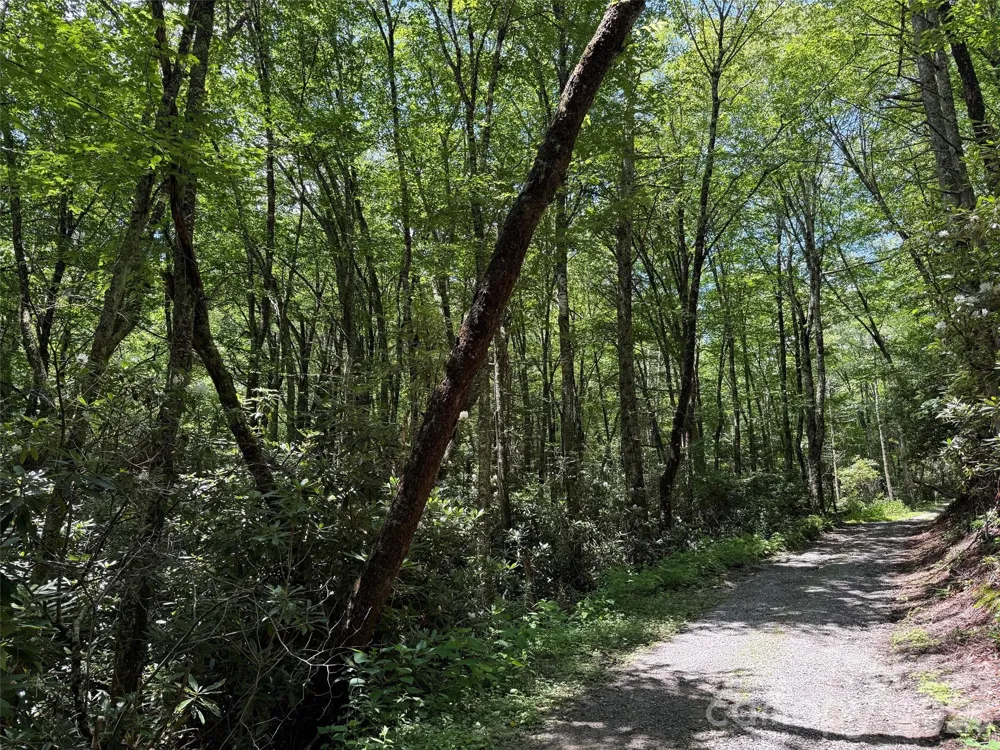 Lot #67 Spring Drive Maggie Valley, NC 28751