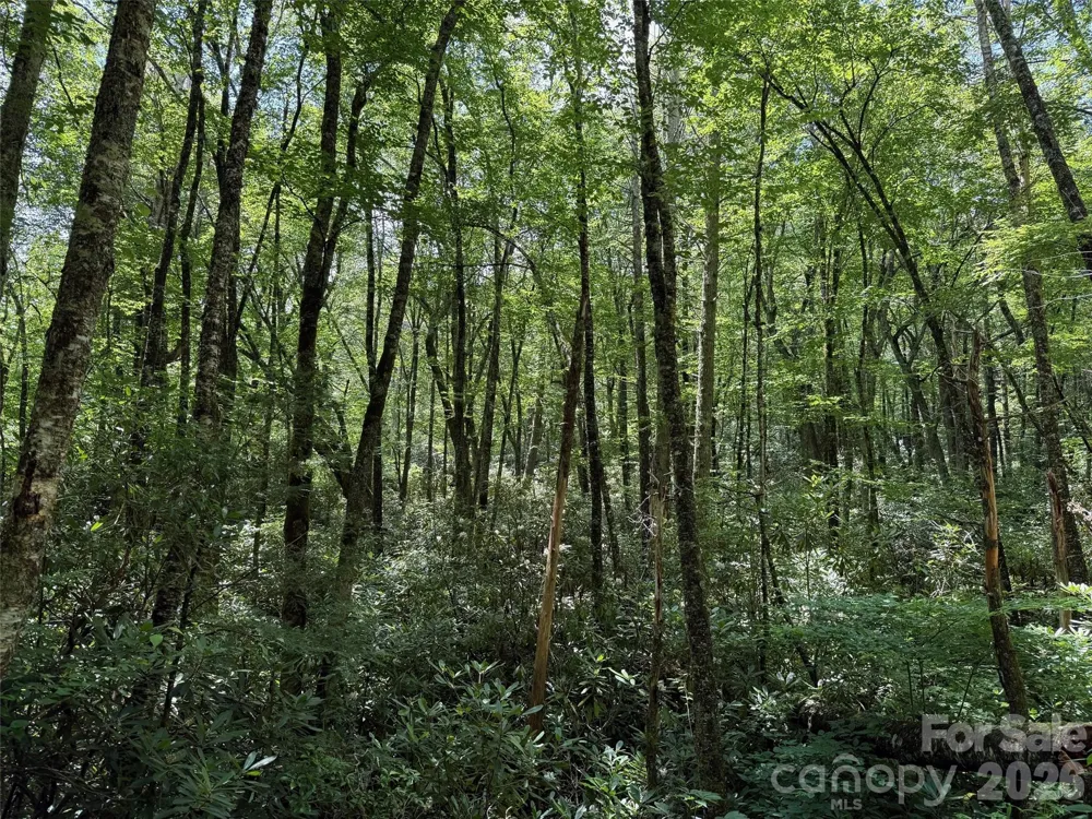 Lot #67 Spring Drive Maggie Valley, NC 28751
