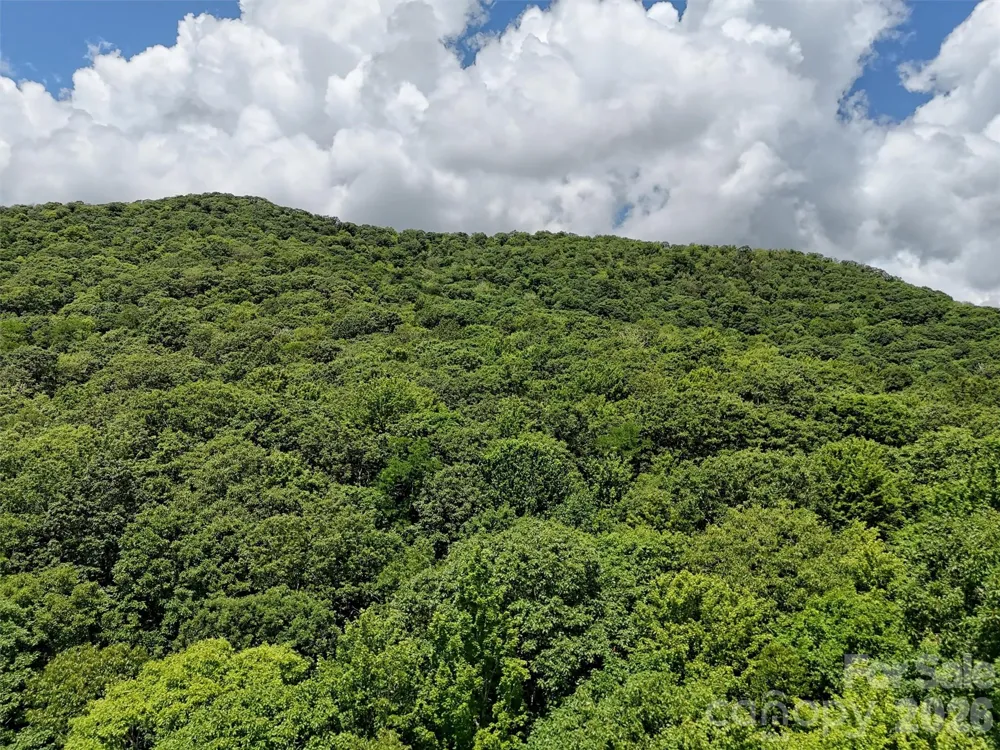 Lot #67 Spring Drive Maggie Valley, NC 28751