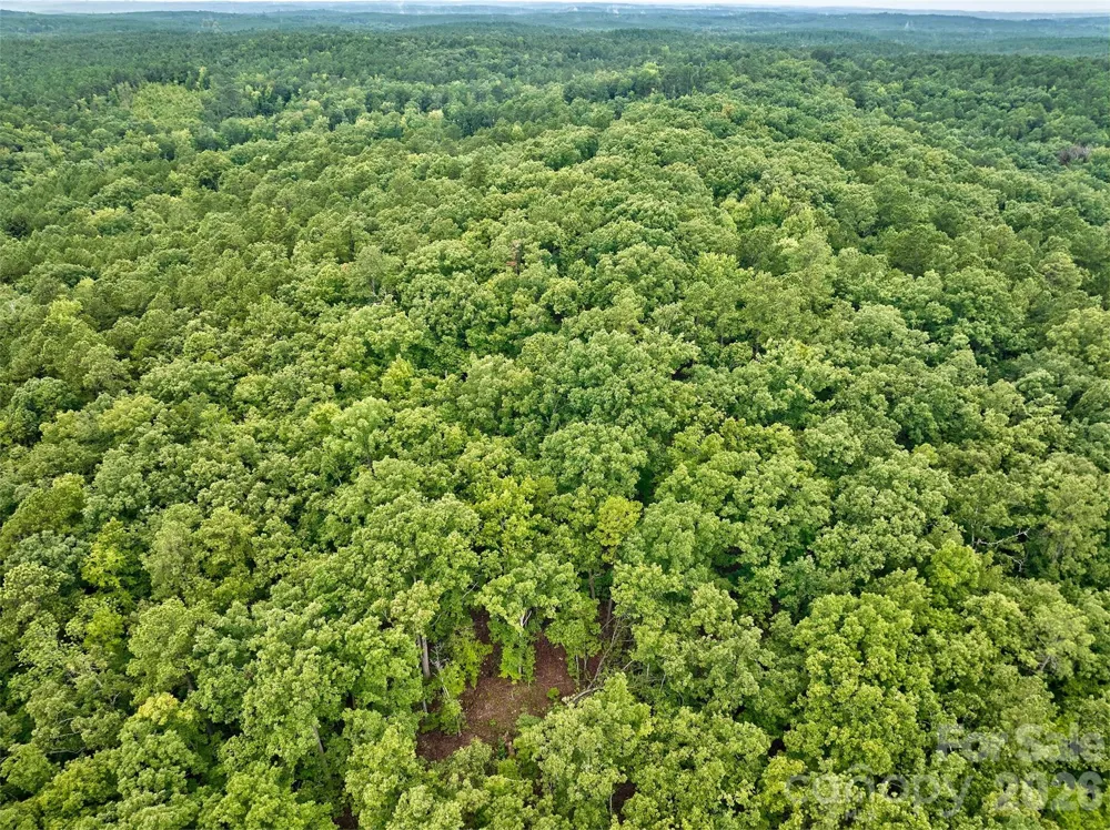 21 US Highway 21 Highway Ridgeway, SC 29130