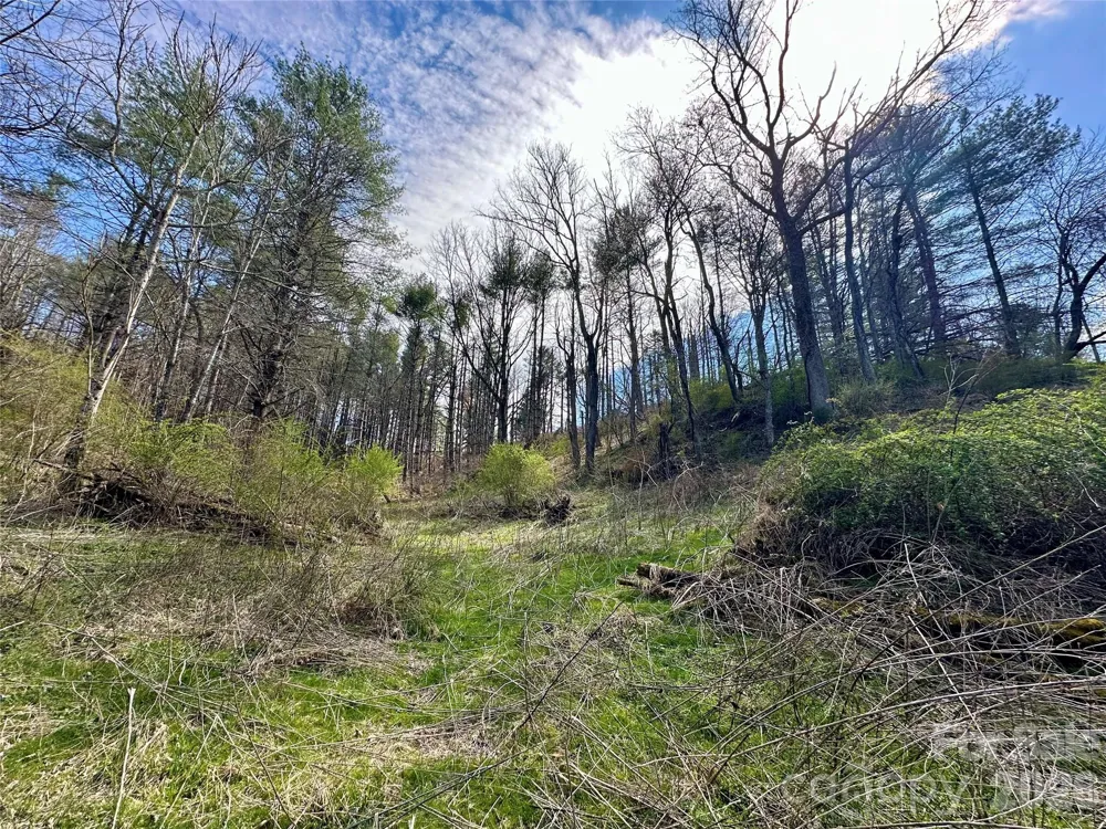 000 Mitchell Avenue Bakersville, NC 28705