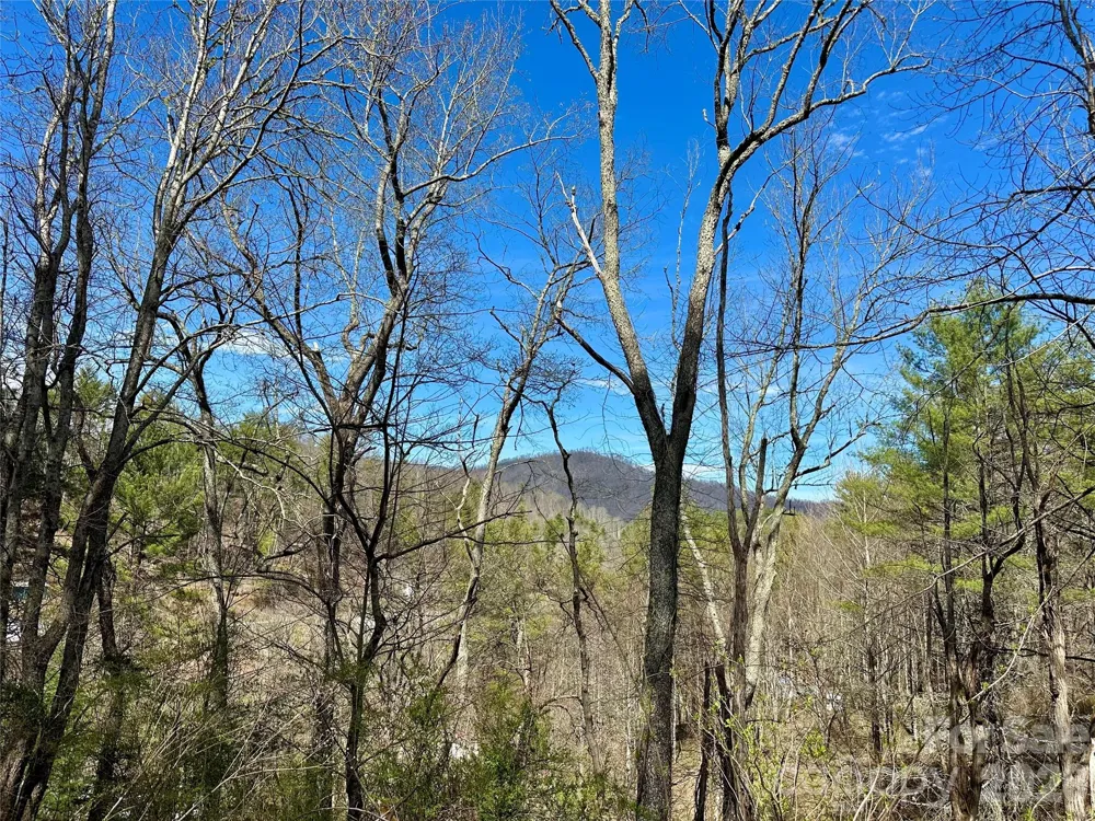 000 Mitchell Avenue Bakersville, NC 28705