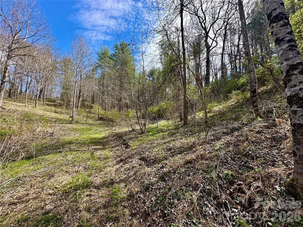 000 Mitchell Avenue Bakersville, NC 28705