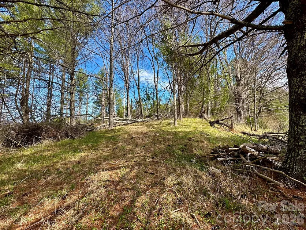 000 Mitchell Avenue Bakersville, NC 28705