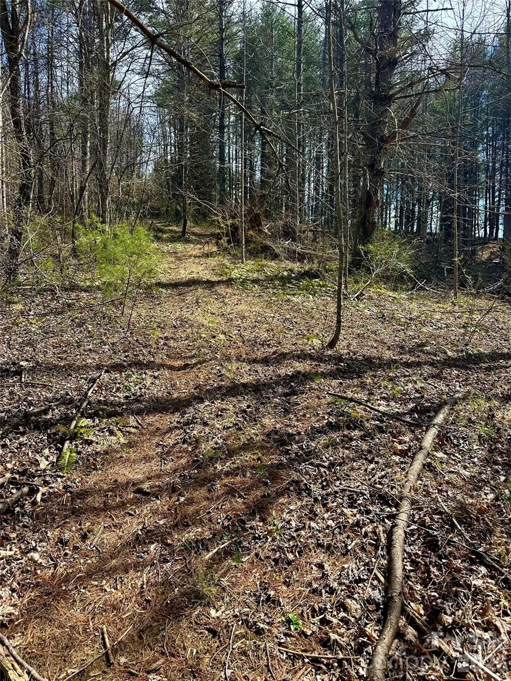 000 Mitchell Avenue Bakersville, NC 28705
