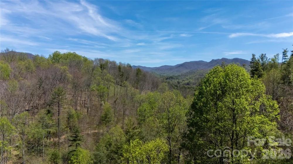 000 Mitchell Avenue Bakersville, NC 28705