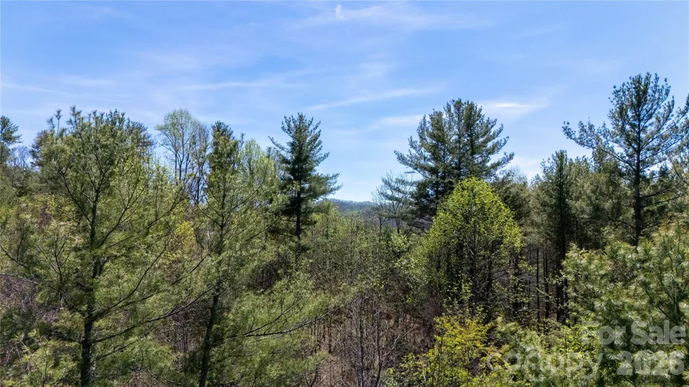 000 Mitchell Avenue Bakersville, NC 28705