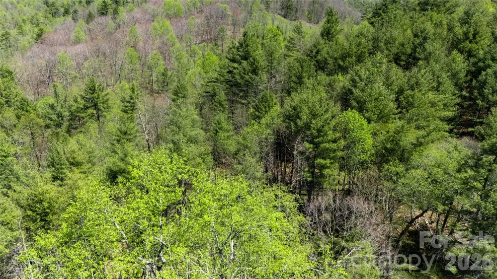 000 Mitchell Avenue Bakersville, NC 28705