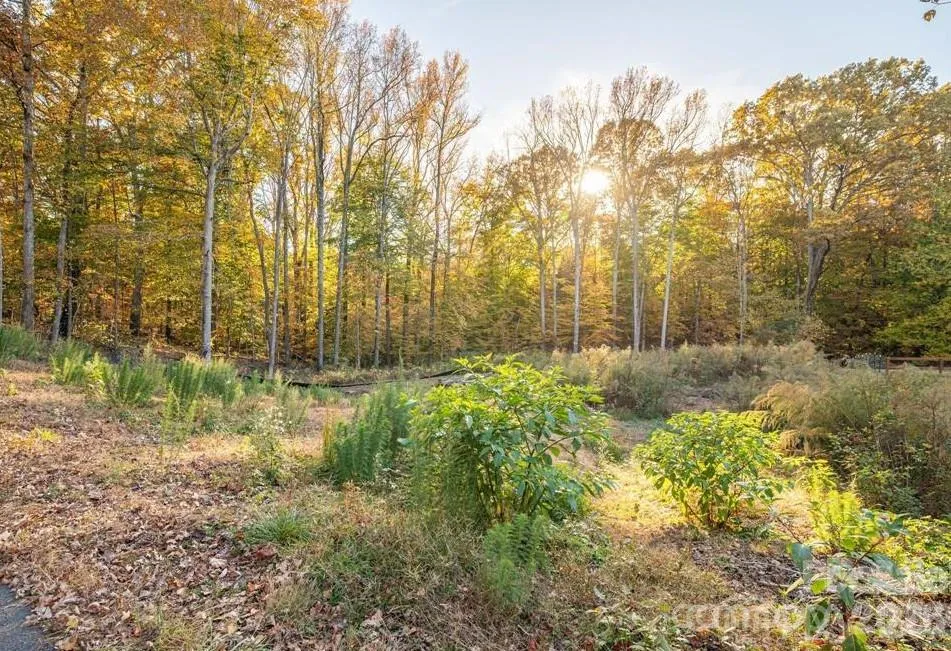 Lot 22 Weatherwood Drive #22 Lincolnton, NC 28092