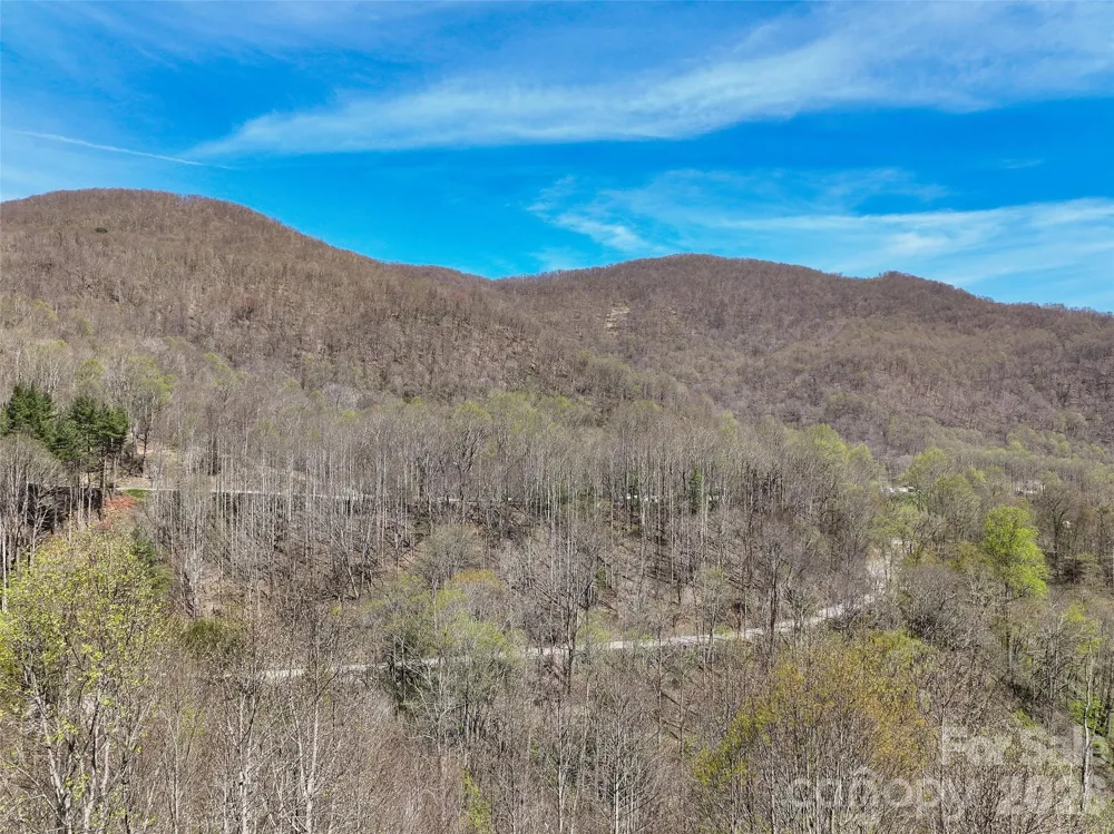 4823 Max Patch Road Clyde, NC 28721