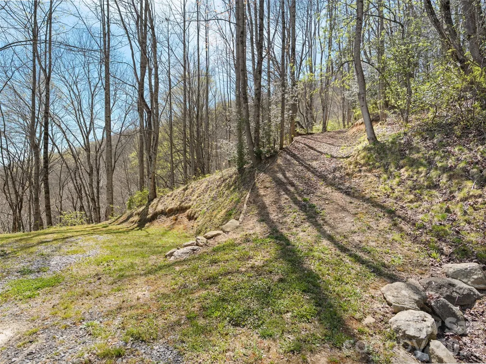 4823 Max Patch Road Clyde, NC 28721
