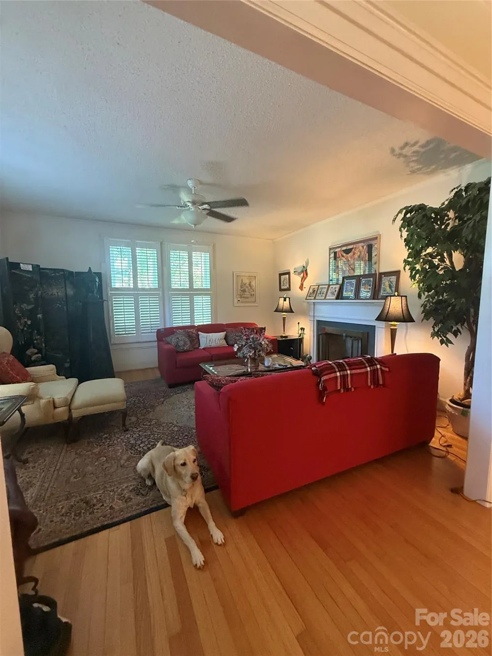 406 E Main Street Chesterfield, SC 29709