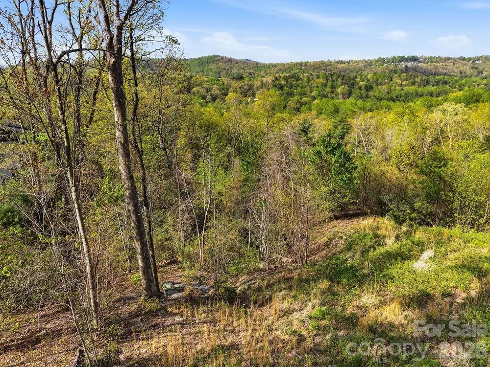 325 Curtain Bluff #W9 Hendersonville, NC 28791